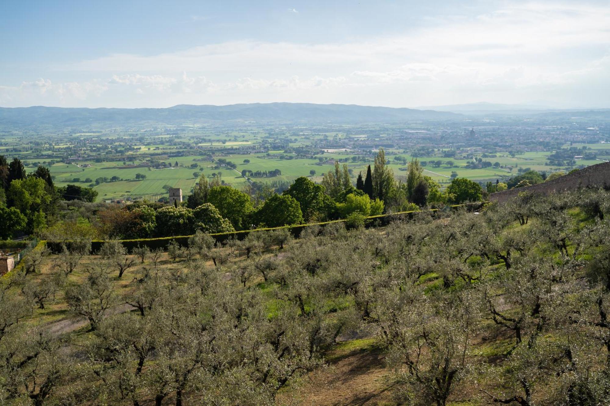Hotel Belvedere Assisi Exterior foto
